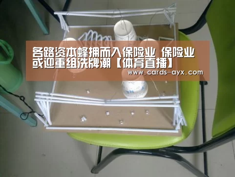 各路资本蜂拥而入保险业 保险业或迎重组洗牌潮【体育直播】(图3) 体育直播