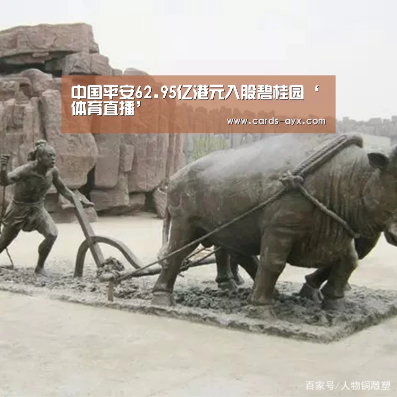 体育直播