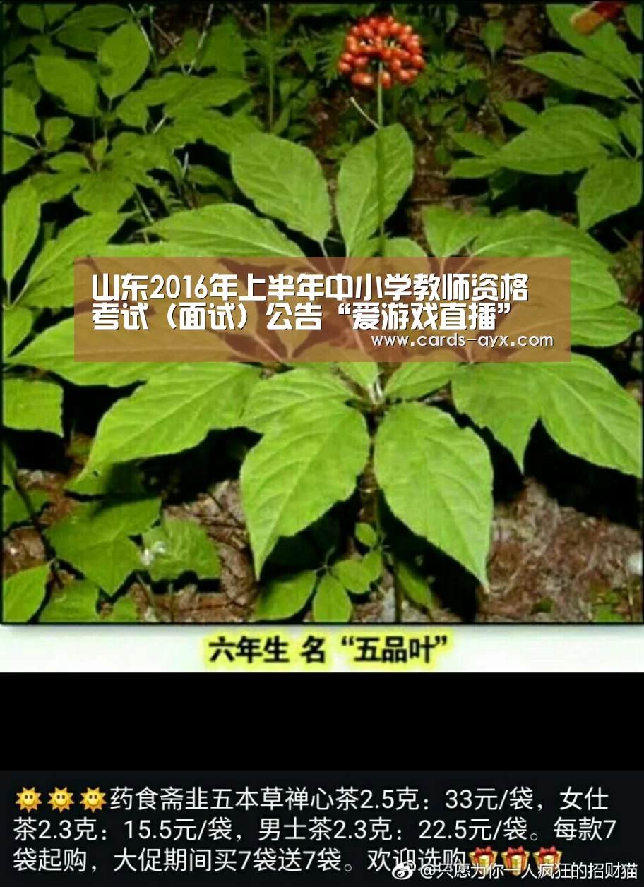 山东2016年上半年中小学教师资格考试(面试)公告“爱游戏直播”(图2) 爱游戏官方