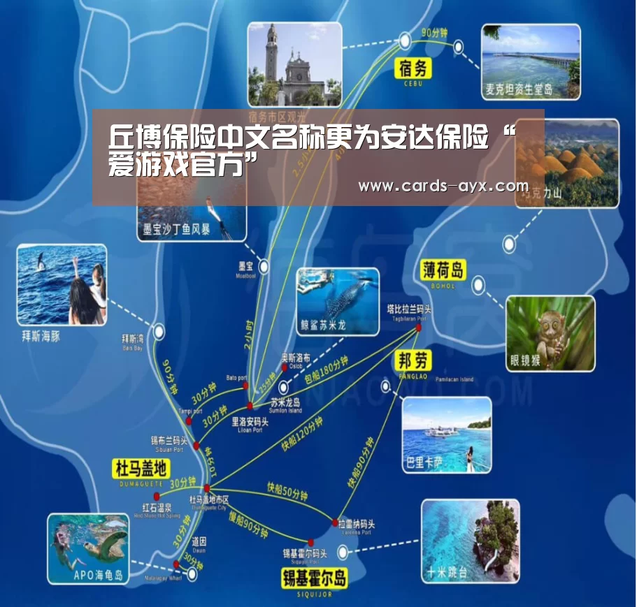 丘博保险中文名称更为安达保险“爱游戏官方”(图1) 体育直播