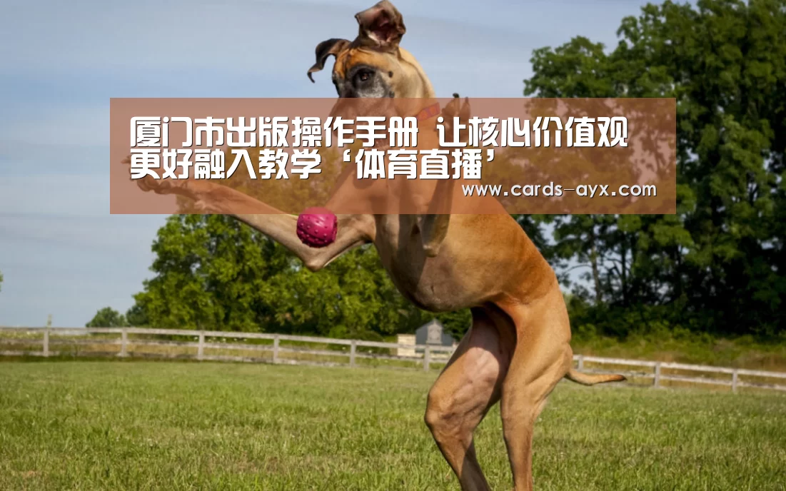 爱游戏