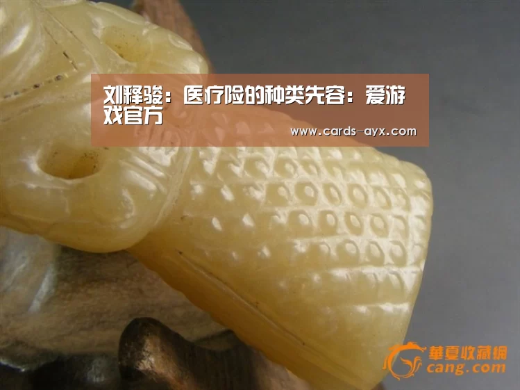 刘释骏:医疗险的种类先容:爱游戏官方(图1) 体育直播